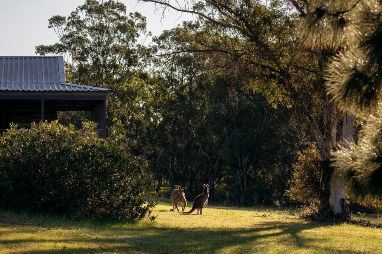 Palmers Lane Estate Hunter Valley Pokolbin Exterior photo