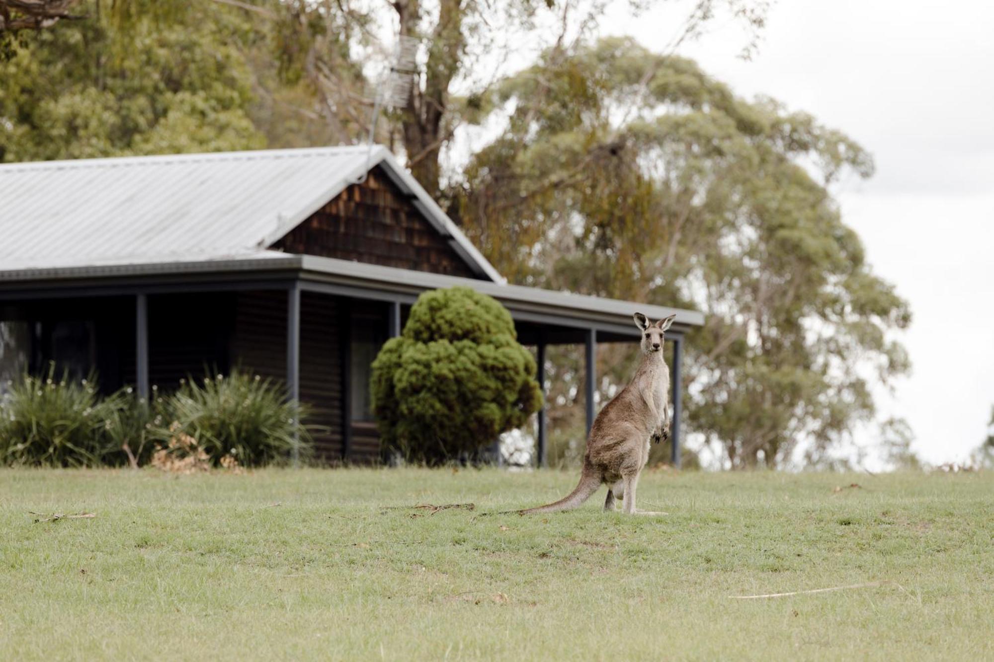 Palmers Lane Estate Hunter Valley Pokolbin Exterior photo